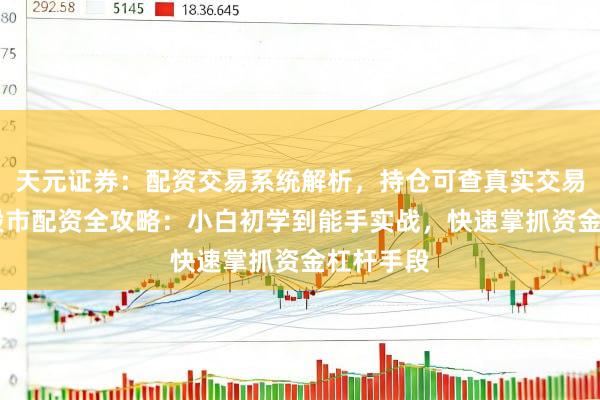 天元证券：配资交易系统解析，持仓可查真实交易更透明 股市配资全攻略：小白初学到能手实战，快速掌抓资金杠杆手段