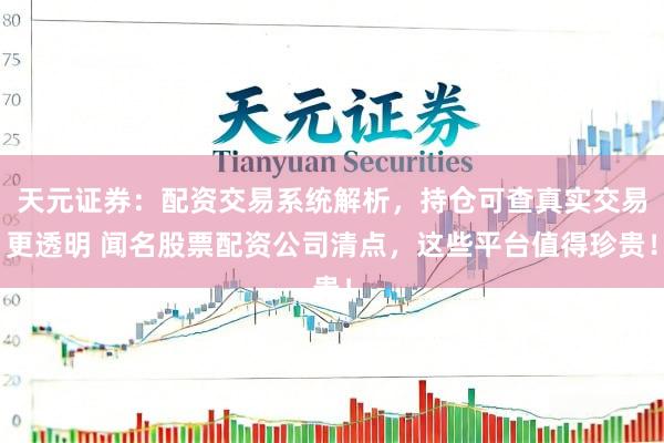 天元证券：配资交易系统解析，持仓可查真实交易更透明 闻名股票配资公司清点，这些平台值得珍贵！