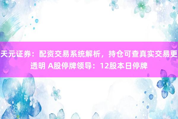 天元证券：配资交易系统解析，持仓可查真实交易更透明 A股停牌领导：12股本日停牌