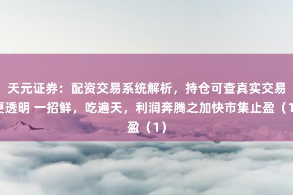 天元证券：配资交易系统解析，持仓可查真实交易更透明 一招鲜，吃遍天，利润奔腾之加快市集止盈（1）