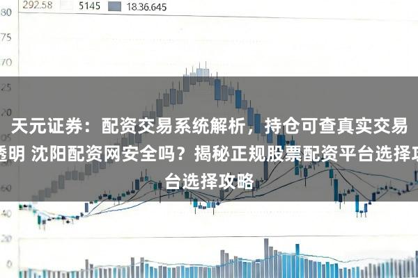 天元证券：配资交易系统解析，持仓可查真实交易更透明 沈阳配资网安全吗？揭秘正规股票配资平台选择攻略
