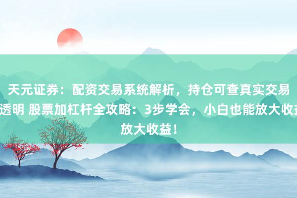 天元证券：配资交易系统解析，持仓可查真实交易更透明 股票加杠杆全攻略：3步学会，小白也能放大收益！