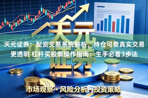 天元证券：配资交易系统解析，持仓可查真实交易更透明 杠杆买股票操作指南：生手必看3步法