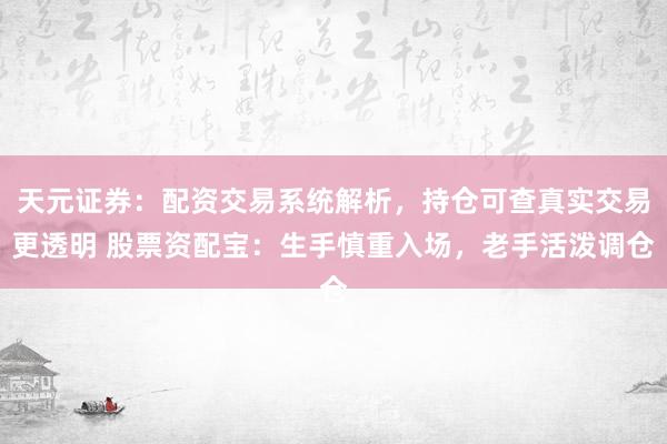 天元证券：配资交易系统解析，持仓可查真实交易更透明 股票资配宝：生手慎重入场，老手活泼调仓