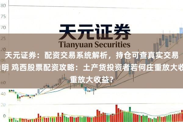 天元证券：配资交易系统解析，持仓可查真实交易更透明 鸡西股票配资攻略：土产货投资者若何庄重放大收益？